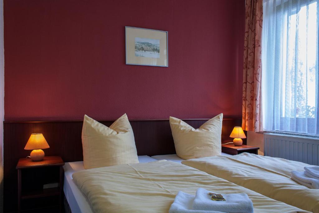 Landhotel Alt-Jocketa Pöhl Стая снимка